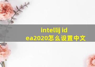 intellij idea2020怎么设置中文